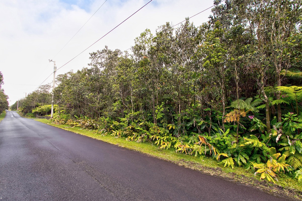 1044 12th Street Pahoa, HI 96778 - Photo 5 of 7