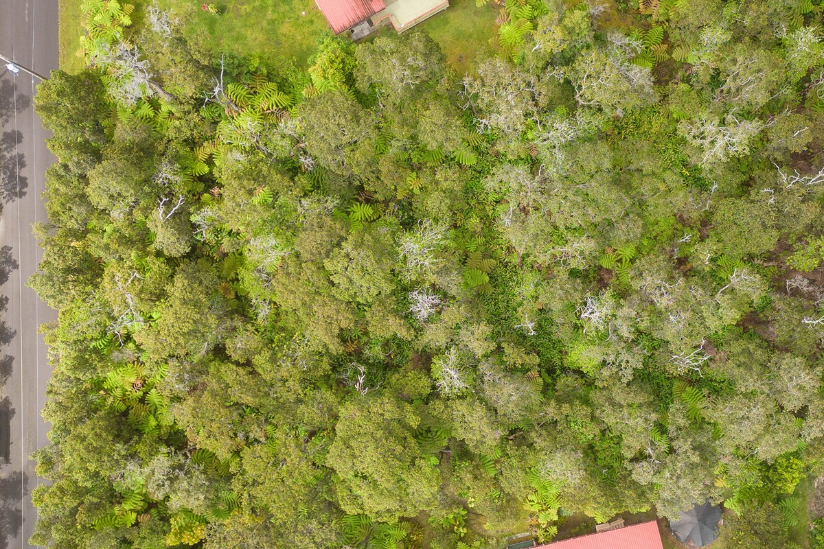 1044 12th Street Pahoa, HI 96778 - Photo 6 of 7