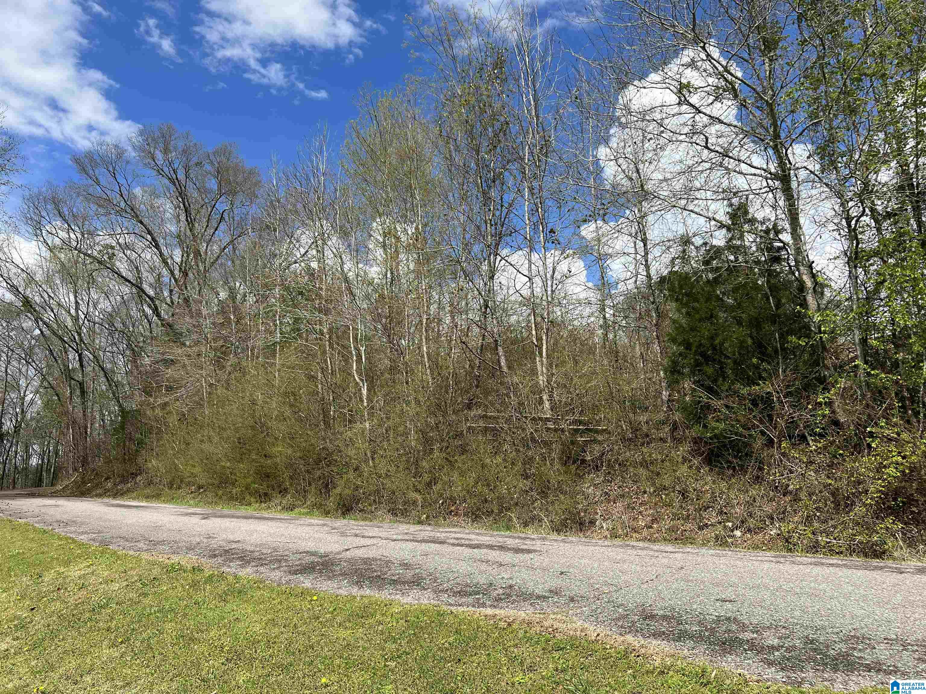 Stewart Road, Unit 6 7 & 8 Riverside, AL 35135 - Photo 3 of 4