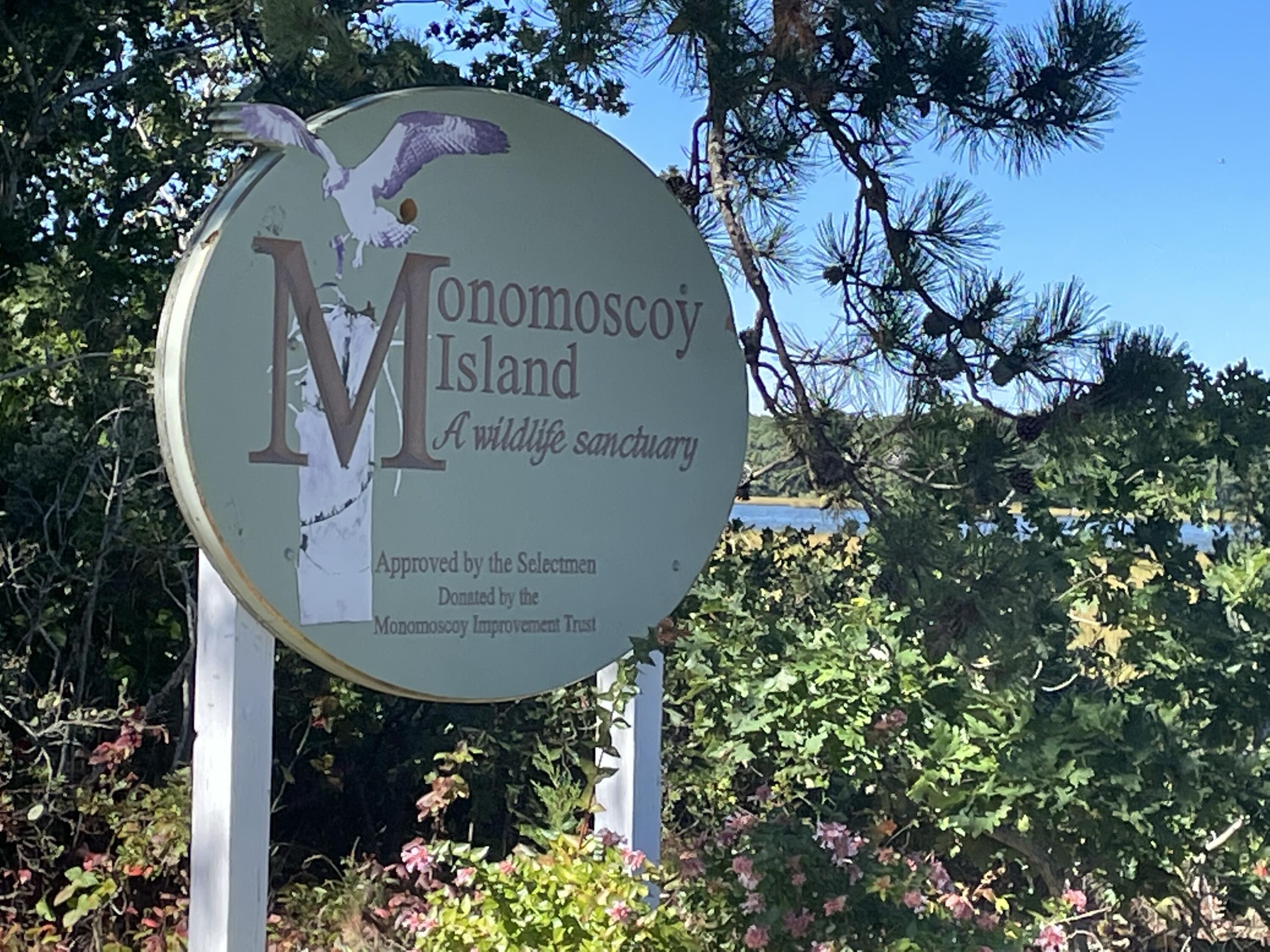 362 Monomoscoy Road Mashpee, MA 02649 - Photo 4 of 48 a view of a bird bath