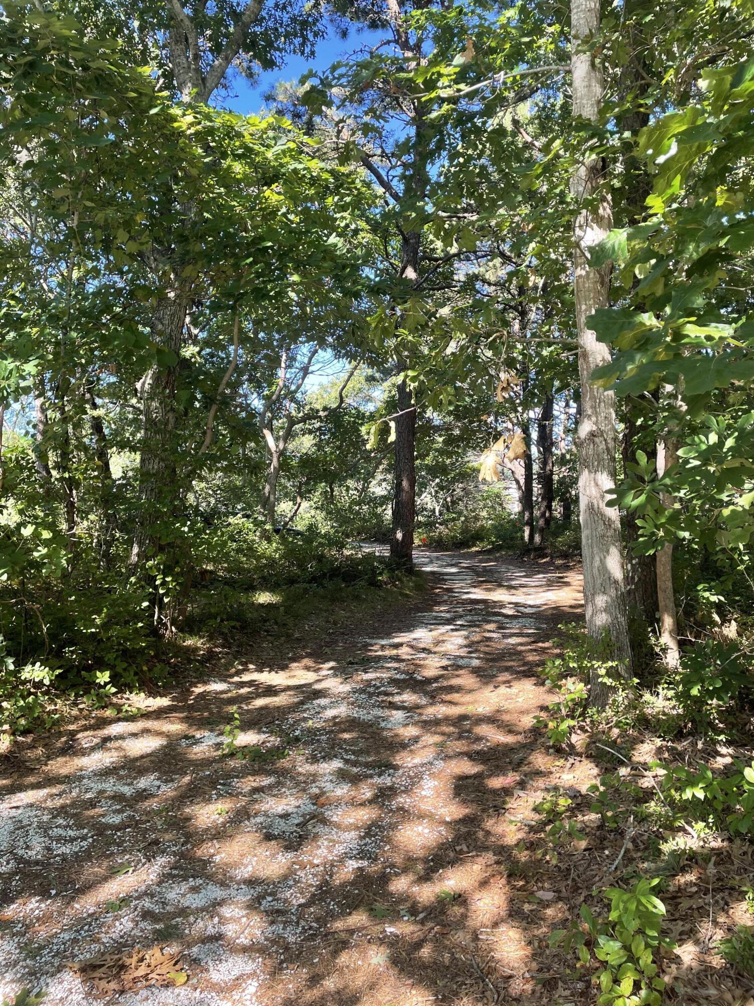 362 Monomoscoy Road Mashpee, MA 02649 - Photo 10 of 48 a view of yard with green space