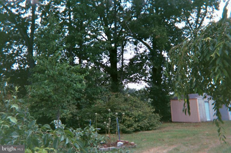 Exterior (Rear)