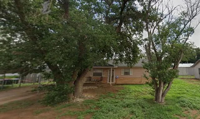 a backyard of a house with plants and large trees