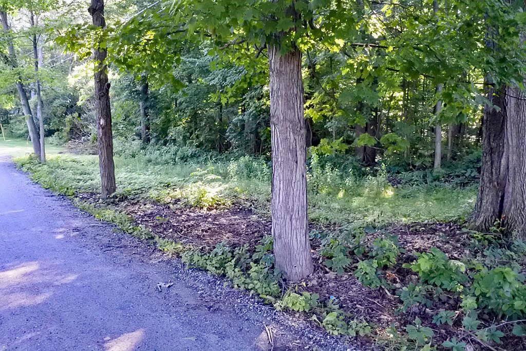 0 East Creek Road Castleton, VT 05735 - Photo 3 of 10