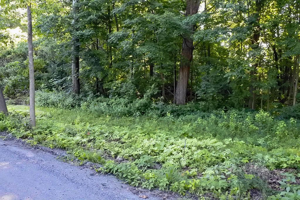 0 East Creek Road Castleton, VT 05735 - Photo 4 of 10