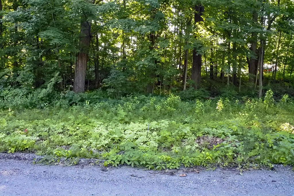 0 East Creek Road Castleton, VT 05735 - Photo 6 of 10