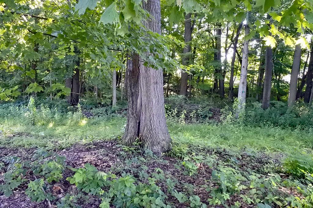 0 East Creek Road Castleton, VT 05735 - Photo 7 of 10