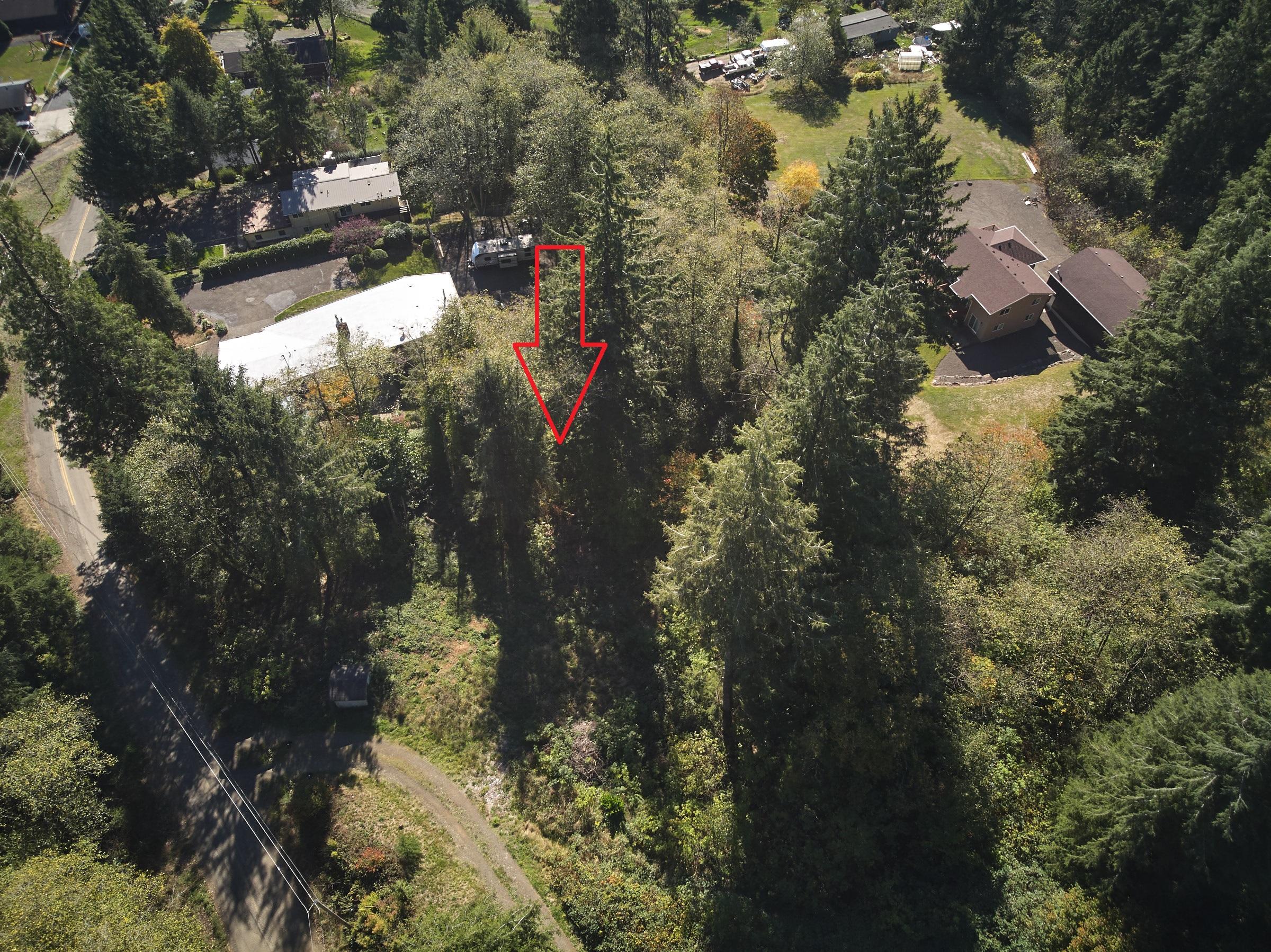 Vl Aldercrest Road Tillamook, OR 97141 - Photo 5 of 9 DJI_0985(edit)