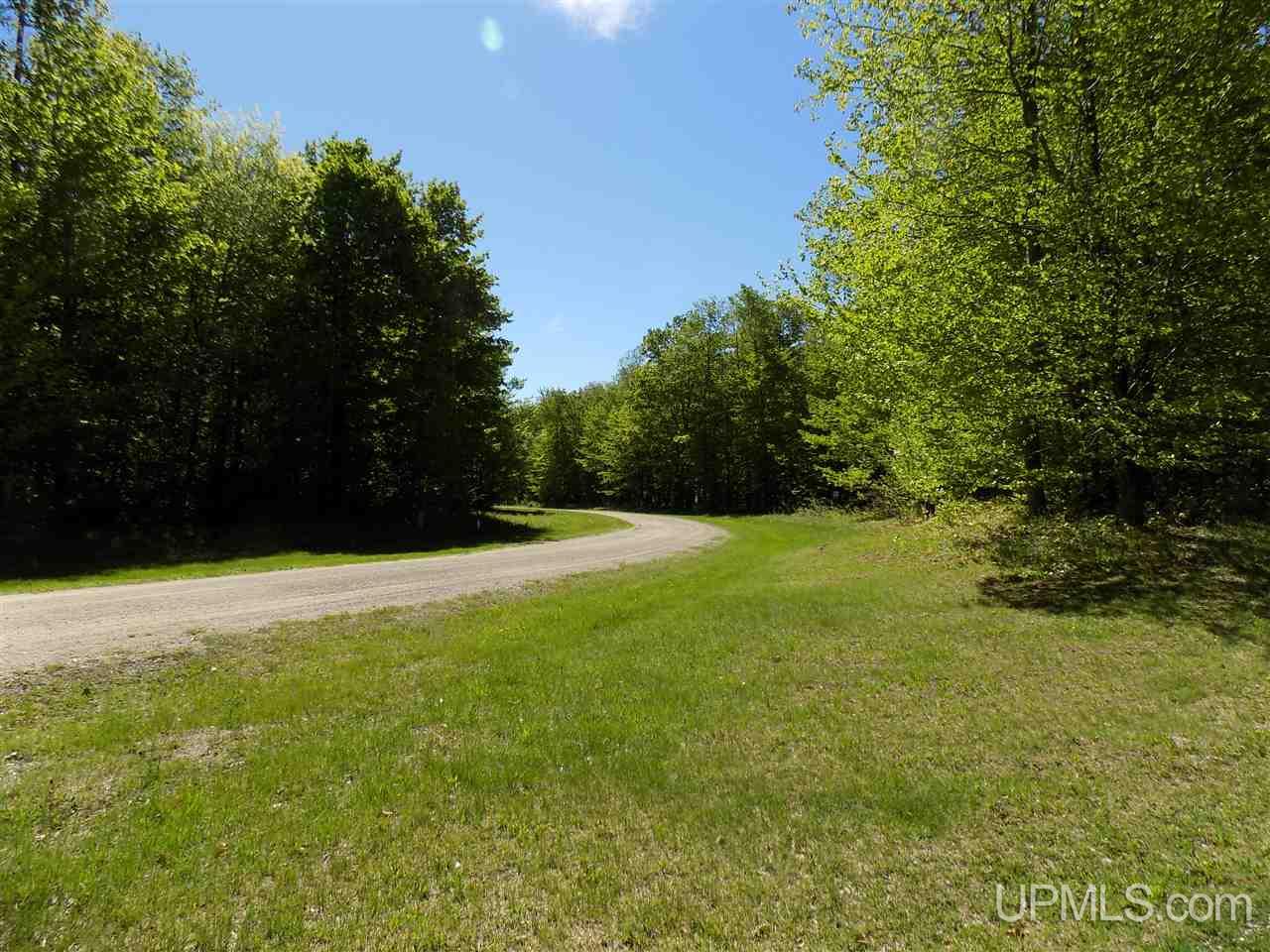 Tbd Northshore Bluffs Road, Unit 4 Manistique, MI 49854 - Photo 5 of 21