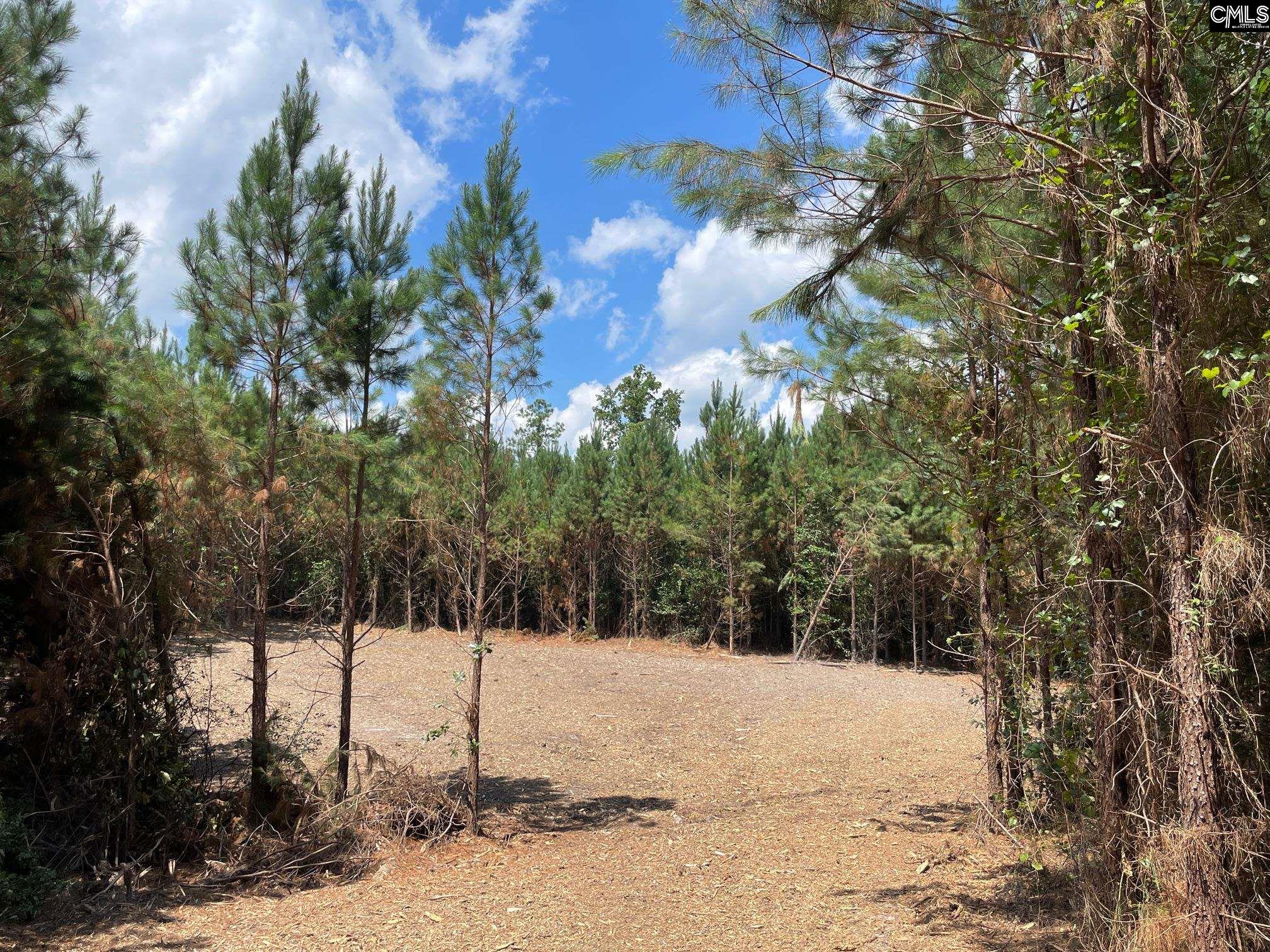 0 Lake Elliott Road Cassatt, SC 29032 - Photo 2 of 8