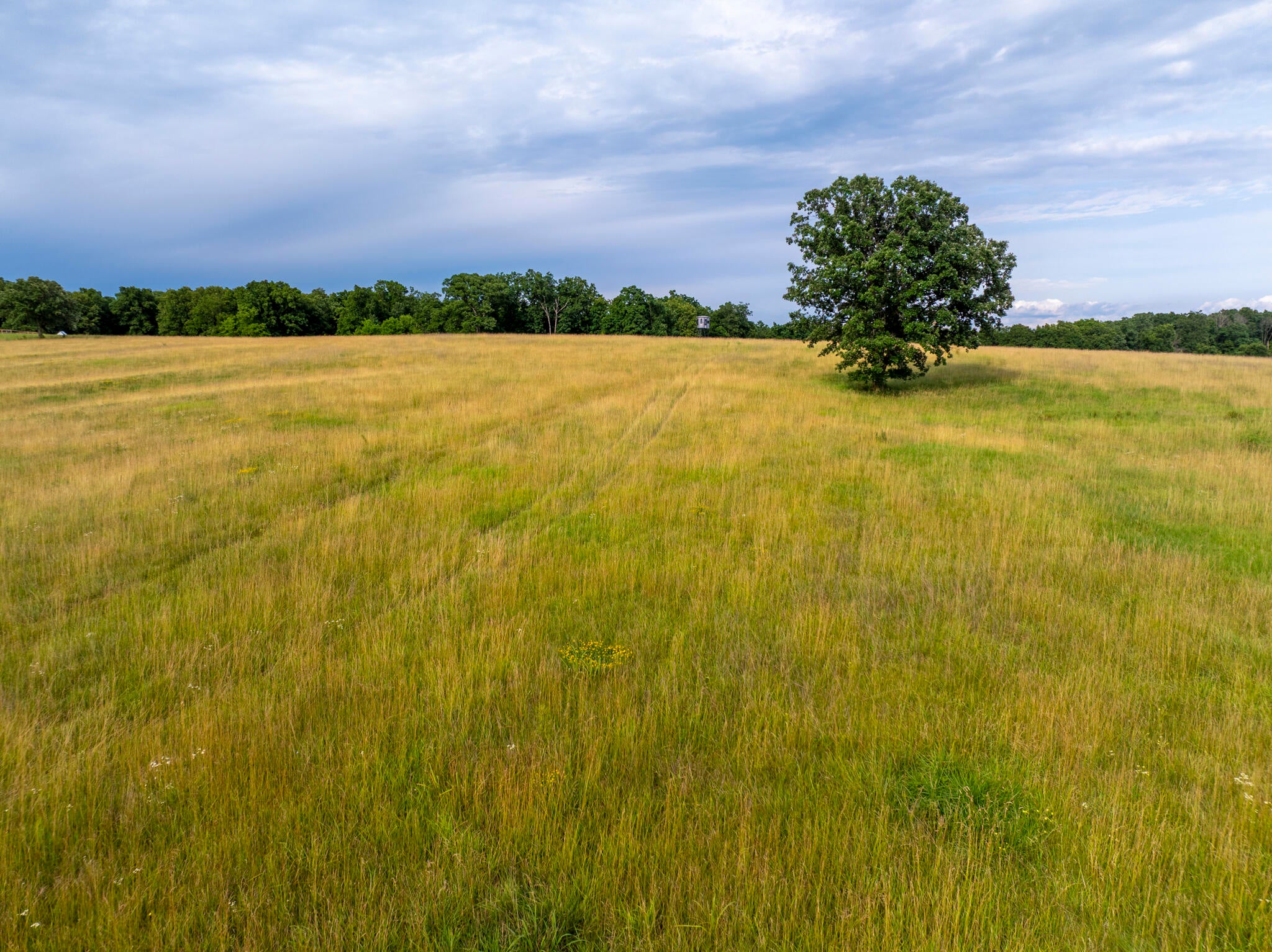 0 State Rte A Higbee, MO 65257 - Photo 7 of 23