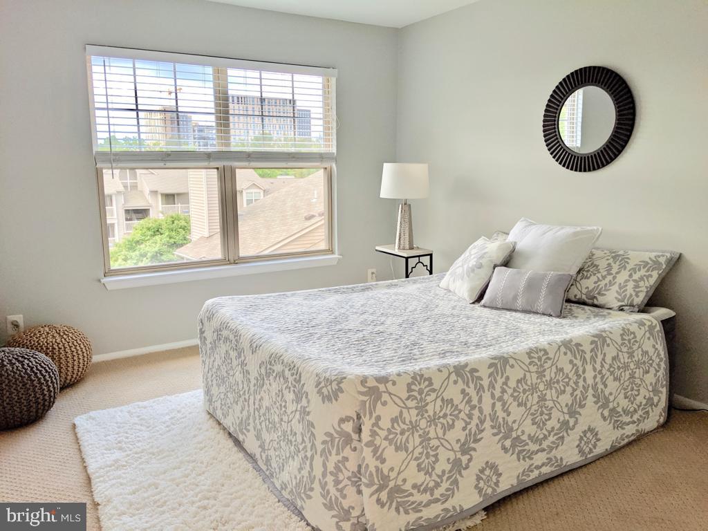 1725 Ascot Way, Unit K Reston, VA 20190 - Photo 12 of 21 new Carpet Installed 5/13/19