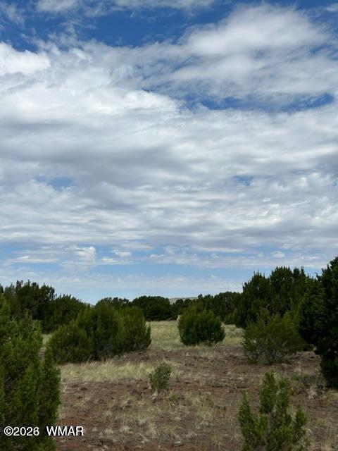 N3109 Rd Vernon Az 85940 Road Vernon, AZ 85940 - Photo 13 of 17