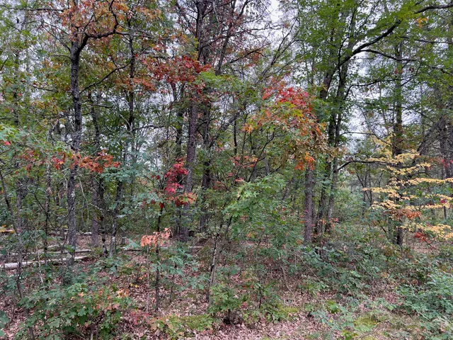 $8,000 | 2693 West Mayfair Street, Baldwin, MI 49304