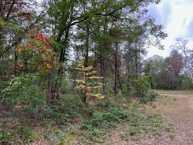 $8,000 | 2693 West Mayfair Street, Baldwin, MI 49304