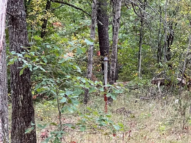 $8,000 | 2693 West Mayfair Street, Baldwin, MI 49304