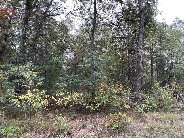 $8,000 | 2693 West Mayfair Street, Baldwin, MI 49304