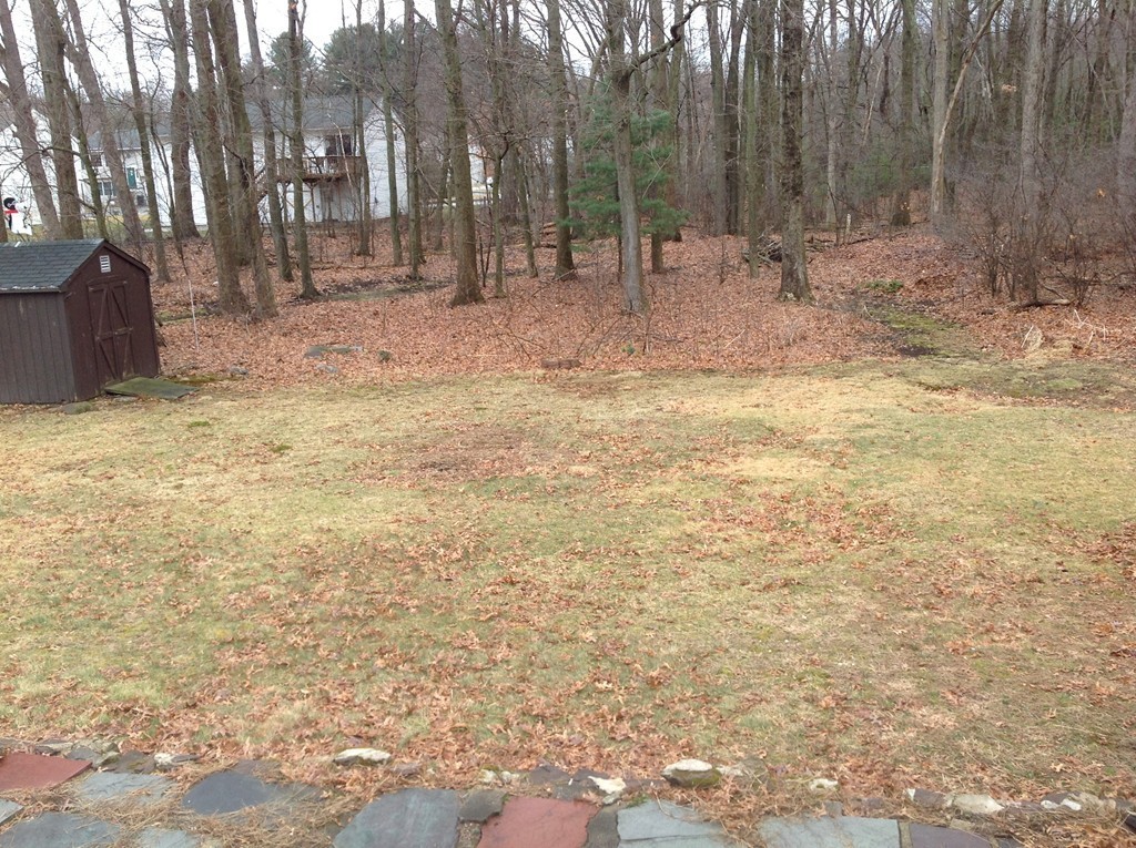 116 Peekskill Avenue Springfield, MA 01129 - Photo 18 of 19