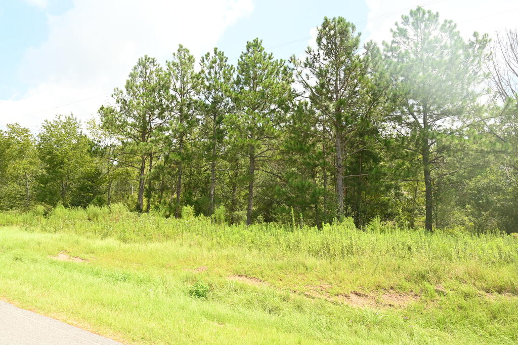 0 Lakeview Church Road Lenox, GA 31637 - Photo 3 of 6 Gallery Image 3