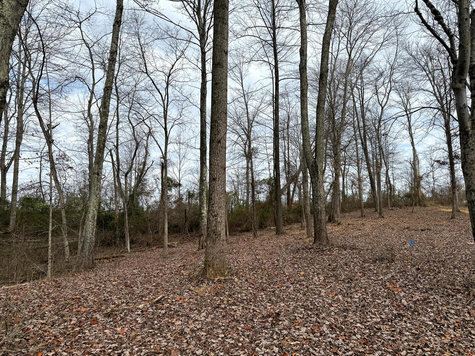 0 Dutch Ridge Road Southeast, Unit WOODS TURKEY RUN TRACT 1) New Lexington, OH 43764 - Photo 22 of 43 CT-22