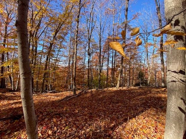 Rex Beach Road Ellsworth, MI 49729 - Photo 2 of 31 Gallery Image 2