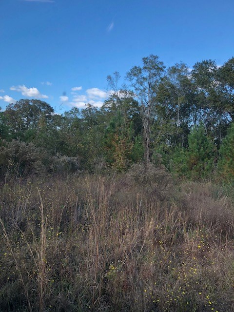 0 Highway 52 Slocomb, AL 36375 - Photo 12 of 12