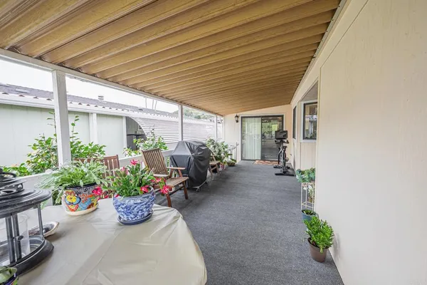 a view of a backyard with plants and a grill
