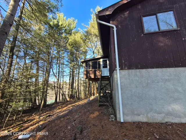a view of a yard with a tree