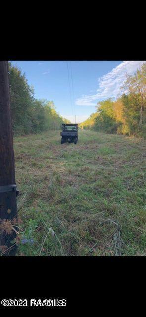 Tbd Istre Road Morse, LA 70559 - Photo 10 of 10 20221212211157444475000000-o