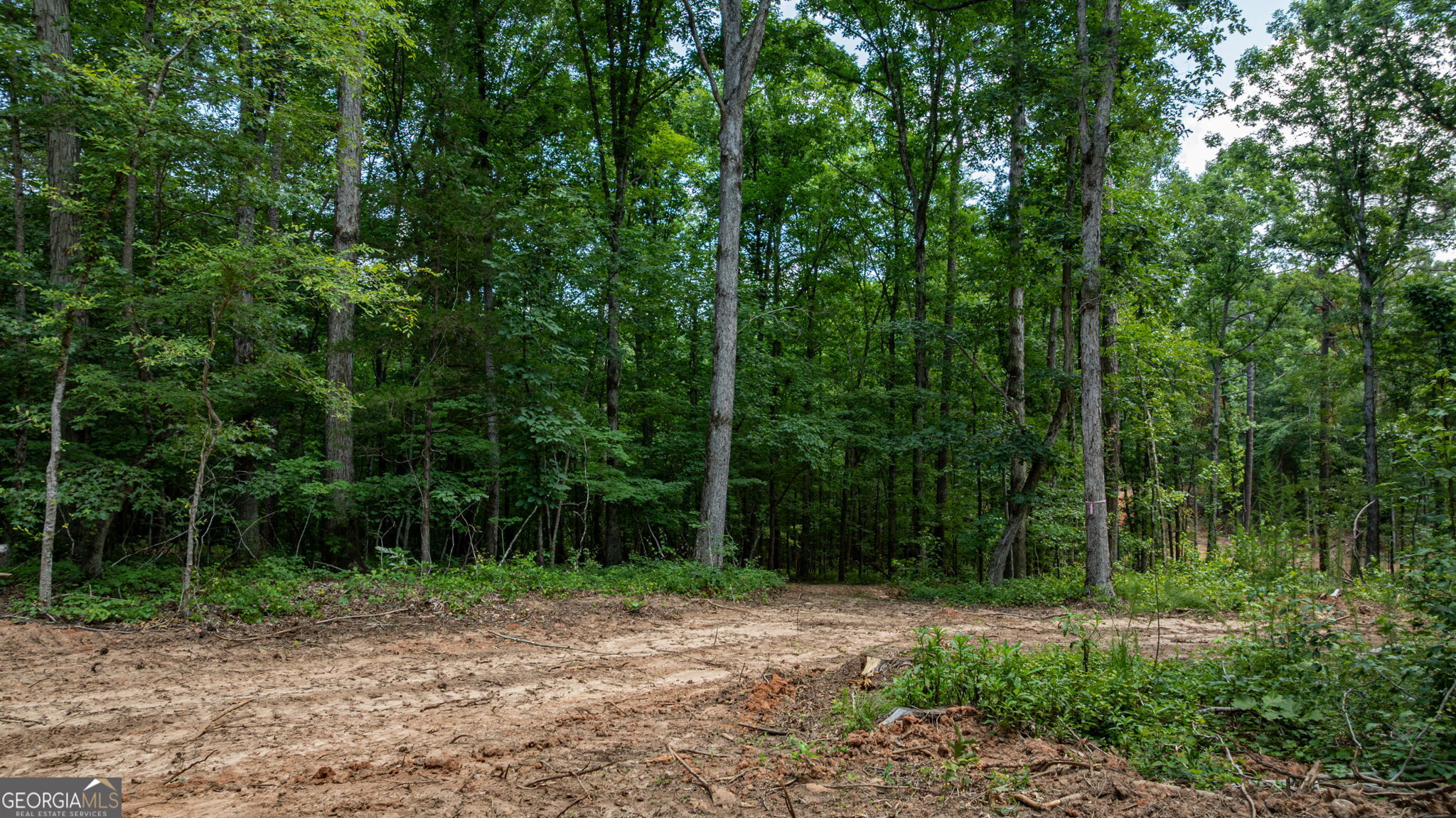 543 Faust Farm Road Crawford, GA 30630 - Photo 7 of 22