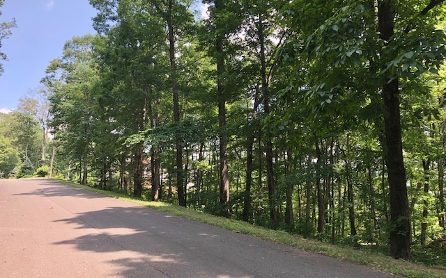 Lt34 R Lt34 R Highline Drive Ellijay, GA 30536 - Photo 2 of 4 Additional View