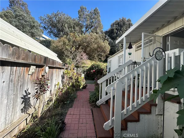 a backyard of a house with plants and large trees