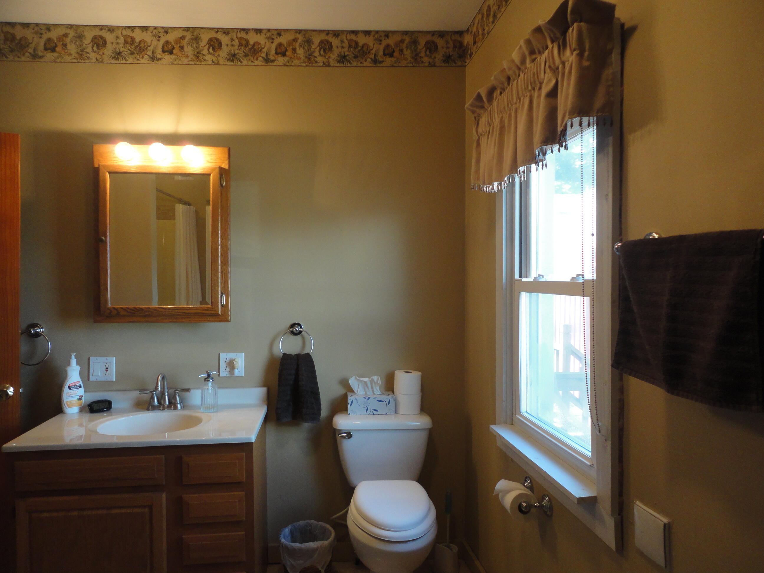 234 South Snow Prairie Road Coldwater, MI 49036 - Photo 29 of 47 DSC02740