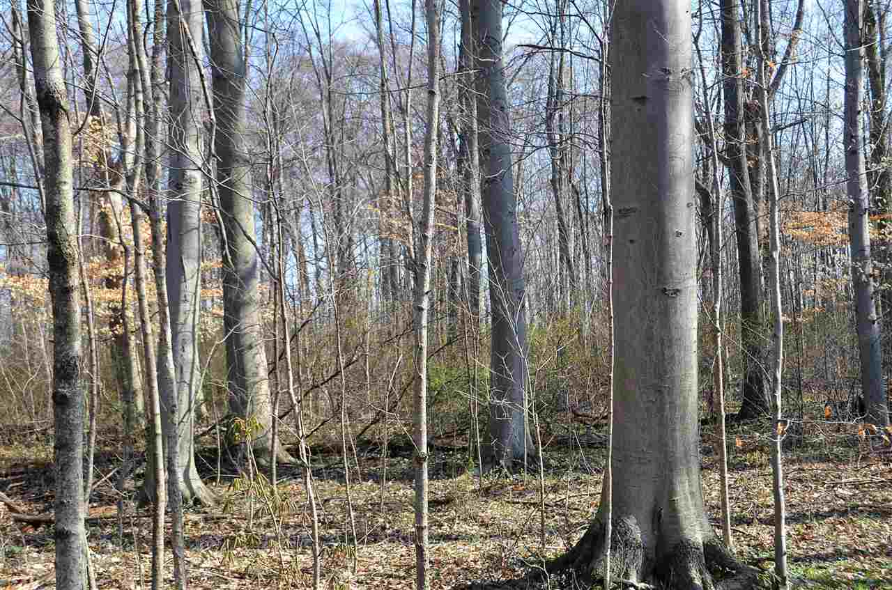 16501 Marion Center Road Decatur, IN 46733 - Photo 31 of 34