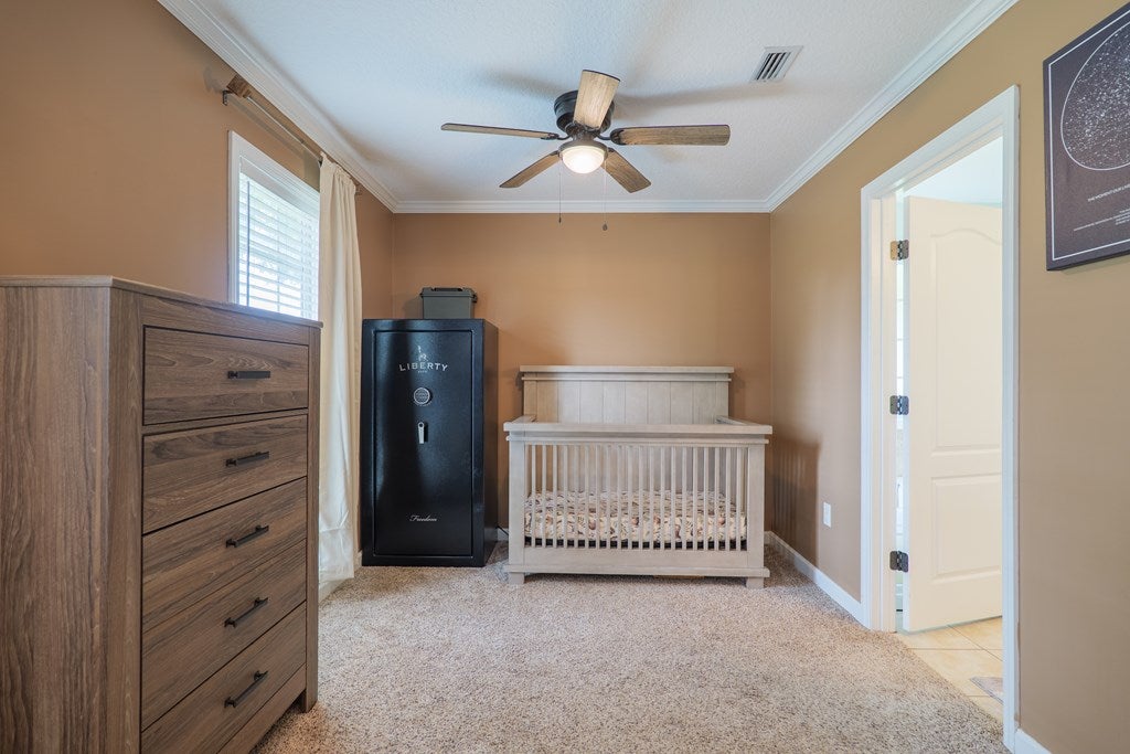 316 Smith Dairy Road Ray City, GA 31645 - Photo 12 of 24 Gallery Image 12