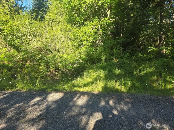 $160,000 | 13811 Starflower Lane Southeast, Yelm, WA 98597