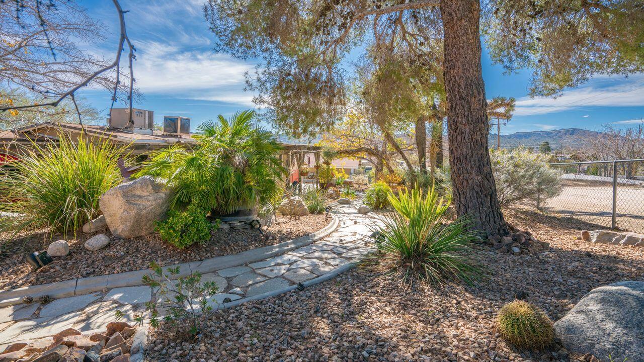 6913 Apache Trail Yucca Valley, CA 92284 - Photo 35 of 45 a view of a yard with plants and trees