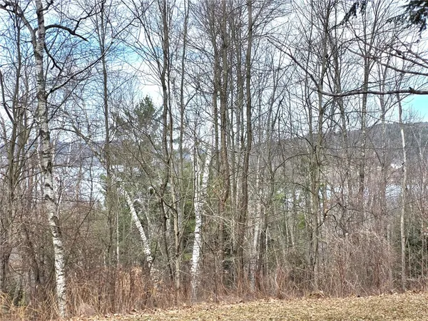 $699,000 | 1412 County Highway, Cooperstown, NY 13326