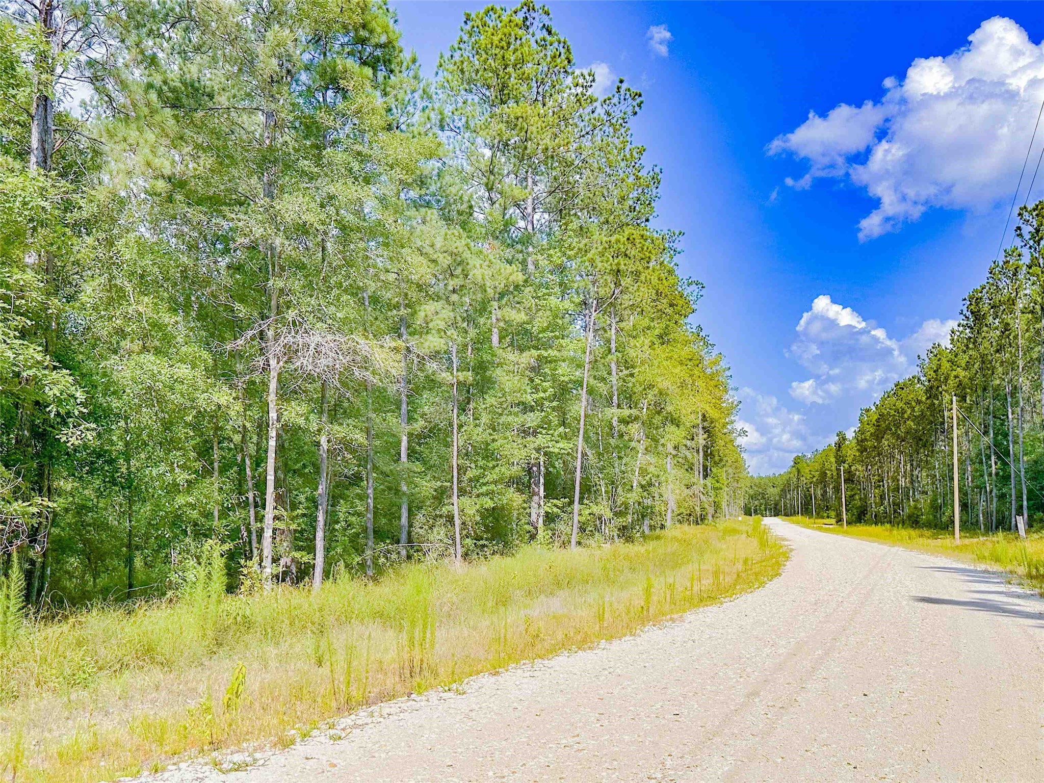9010 Carter Ranch Road Kountze, TX 77625 - Photo 1 of 8 Gallery Image 1