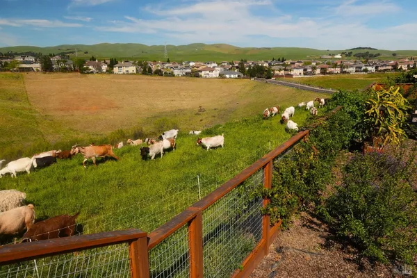 $1,370,000 | 378 Piercy Drive, Benicia, CA 94510