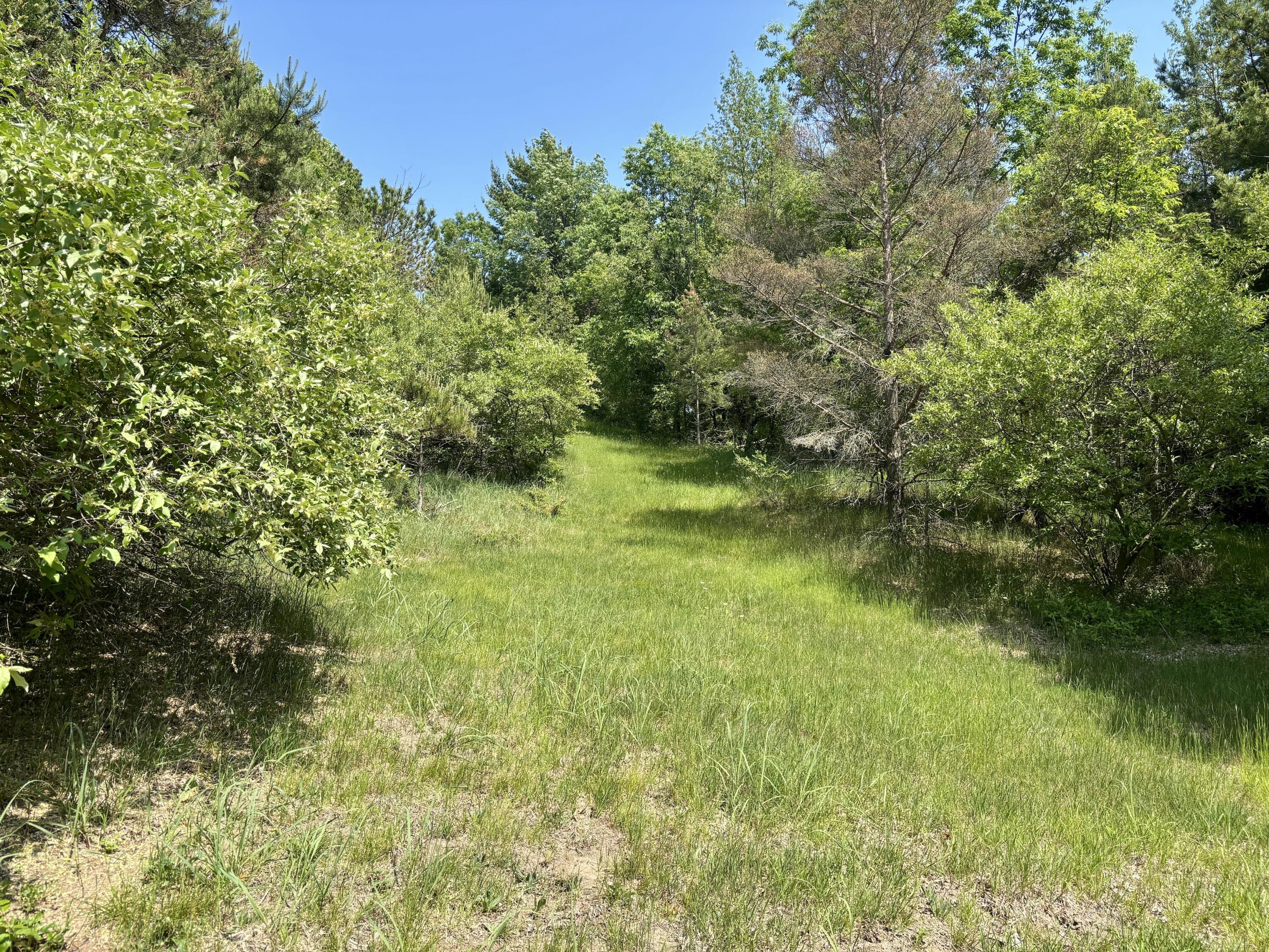 2 Maxey Road Arcadia, MI 49613 - Photo 11 of 25 10