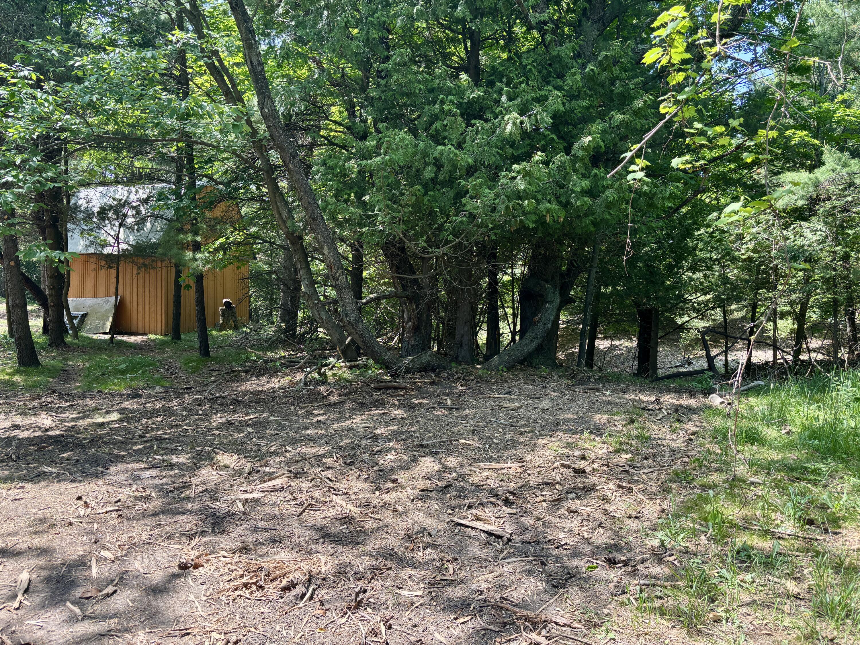 2 Maxey Road Arcadia, MI 49613 - Photo 4 of 25 4