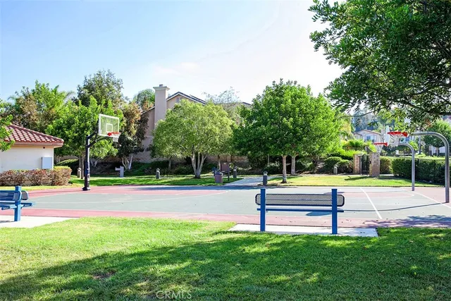 a view of a park with large trees