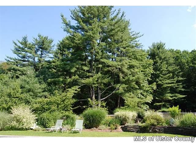 146 Peak Road Stone Ridge, NY 12484 - Photo 4 of 17 Photo 4