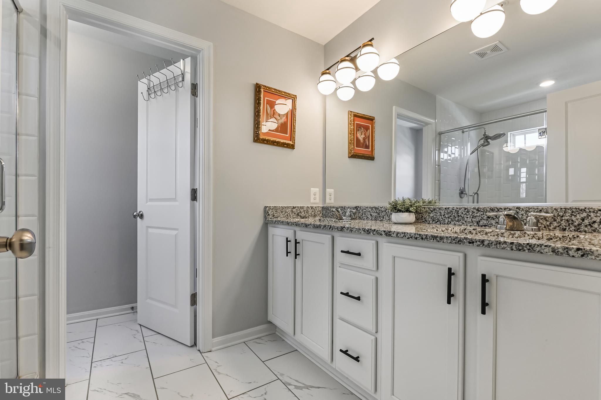 5559 Trafalgar Circle Tilghman, MD 21671 - Photo 32 of 62 a bathroom with a granite countertop sink a mirror and a shower