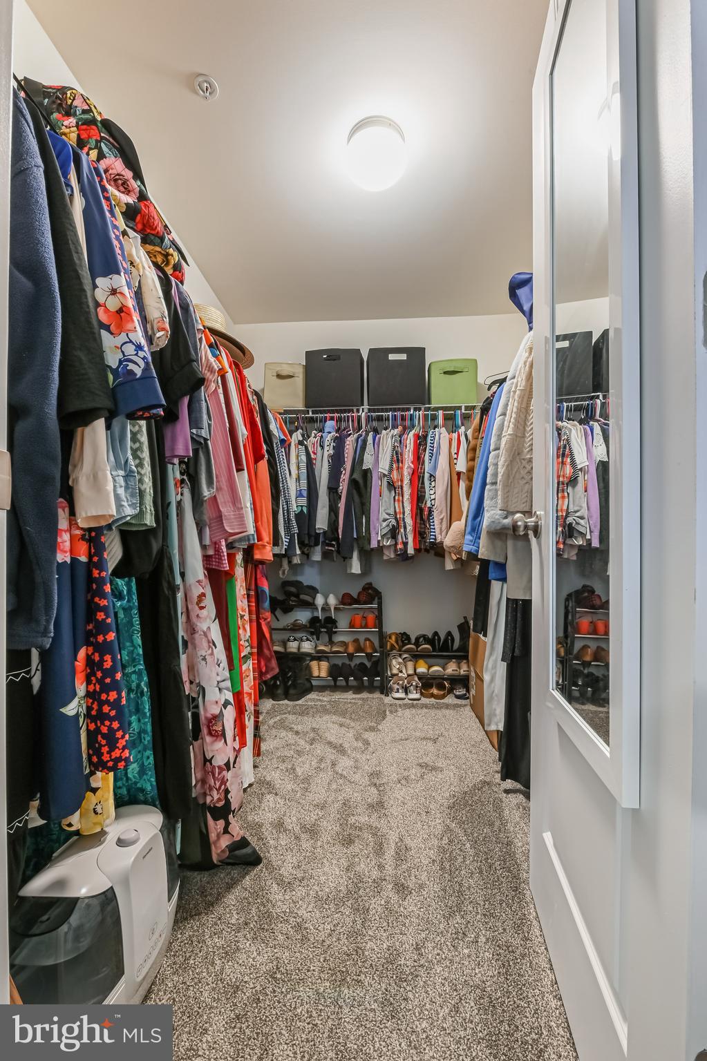 5559 Trafalgar Circle Tilghman, MD 21671 - Photo 34 of 62 a view of walk in closet with clothes
