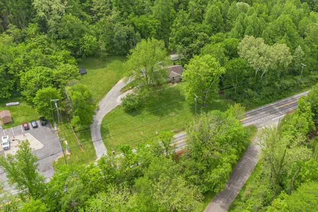 a view of a garden with a lake