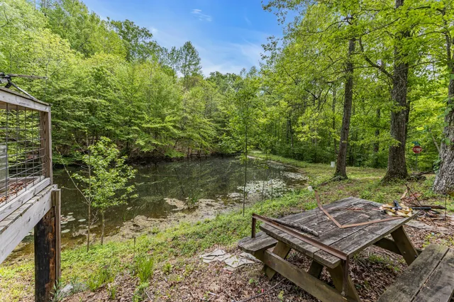 a view of a yard with chairs