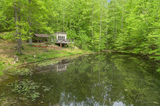 a view of a back yard