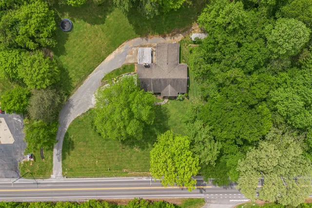 a view of a yard in front of a house with a tree